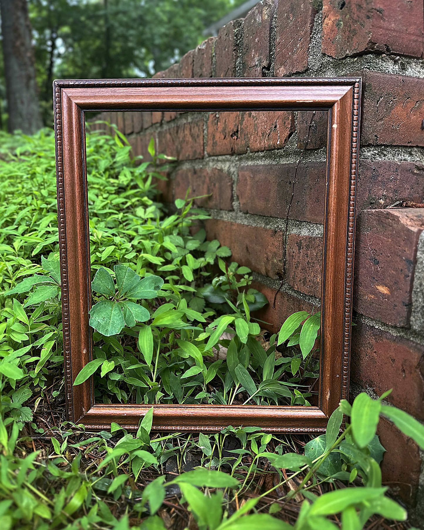 8x10 Vintage Walnut