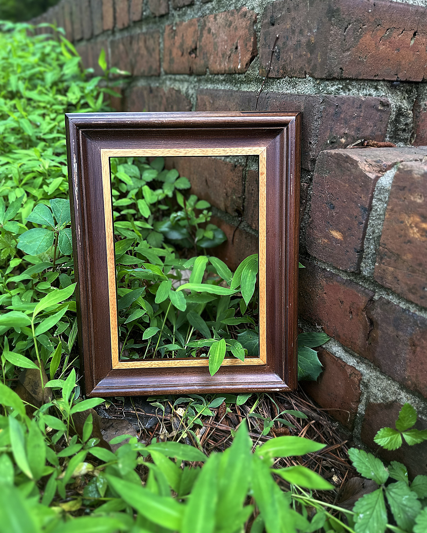 5X7 Vintage Walnut-Maple